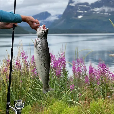 Seaview Cabin, Between Tamok And Lyngen Alps 아파트