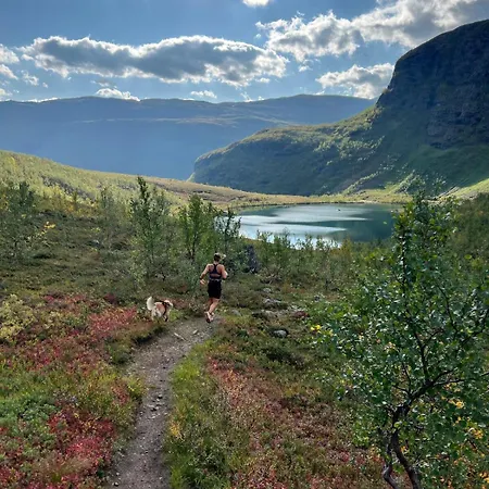 Seaview Cabin, Between Tamok And Lyngen Alps 아파트 Indre Berg (Storfjord)